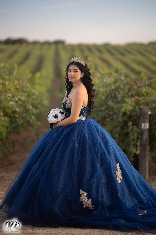 ✨Quinceañera Spotlight: Emily Michelle Rodriguez